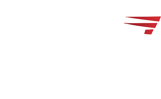 SCG Speedy Consulting Group logo